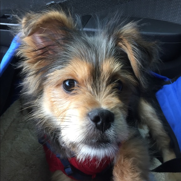 Meet your Posher, Debbie - Picture 1 of 1